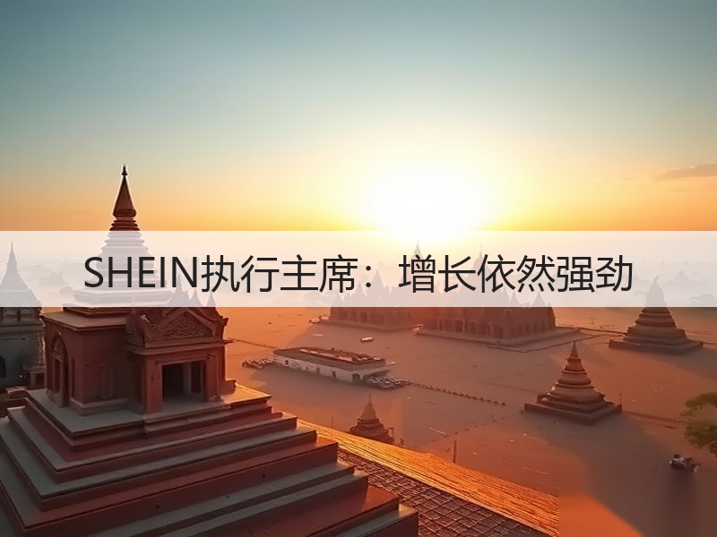 SHEIN执行主席：增长依然强劲(图3)