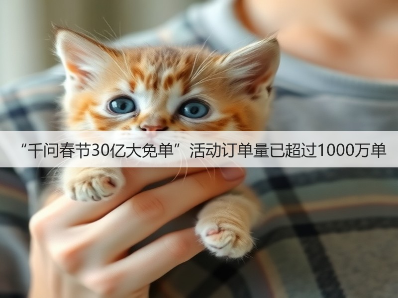 “千问春节30亿大免单”活动订单量已超过1000万单(图2)