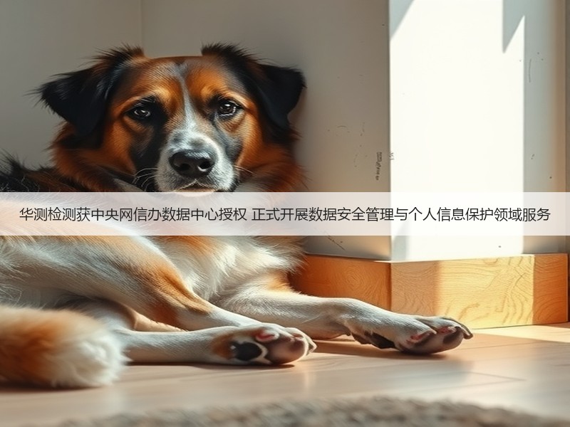 华测检测获中央网信办数据中心授权 正式开展数据安全管理与个人信息保护领域服务(图2)