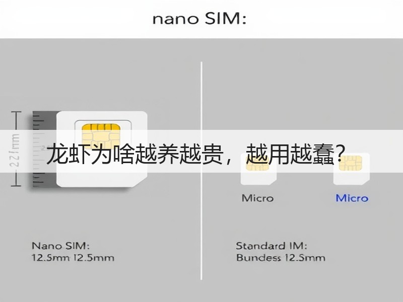 龙虾为啥越养越贵,越用越蠢?(图3) 龙虾为啥越养越贵,越用越蠢?(图3)