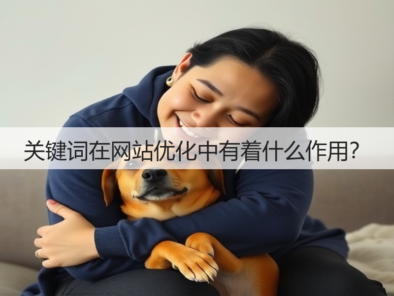 关键词在网站优化中有着什么作用？(图3)