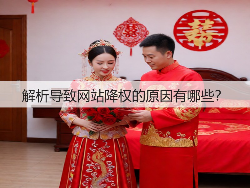 解析导致网站降权的原因有哪些？(图3)