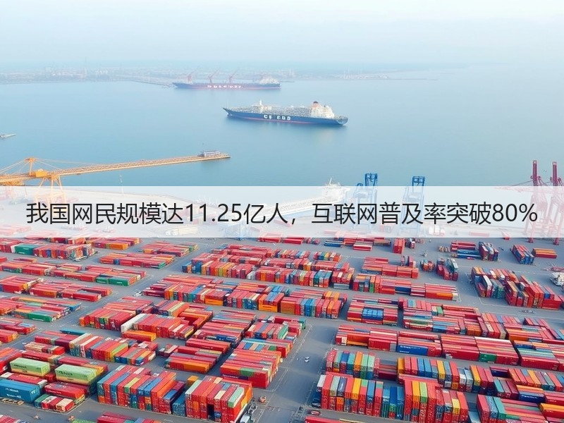 我国网民规模达11.25亿人，互联网普及率突破80%(图3)
