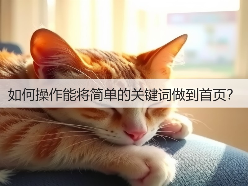 如何操作能将简单的关键词做到首页？