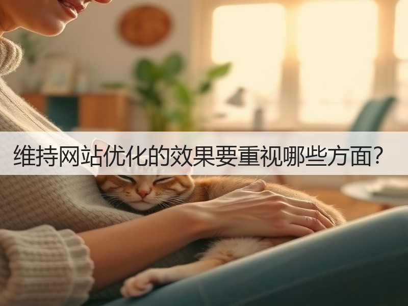 维持网站优化的效果要重视哪些方面?(图3) 维持网站优化的效果要重视哪些方面?(图3)