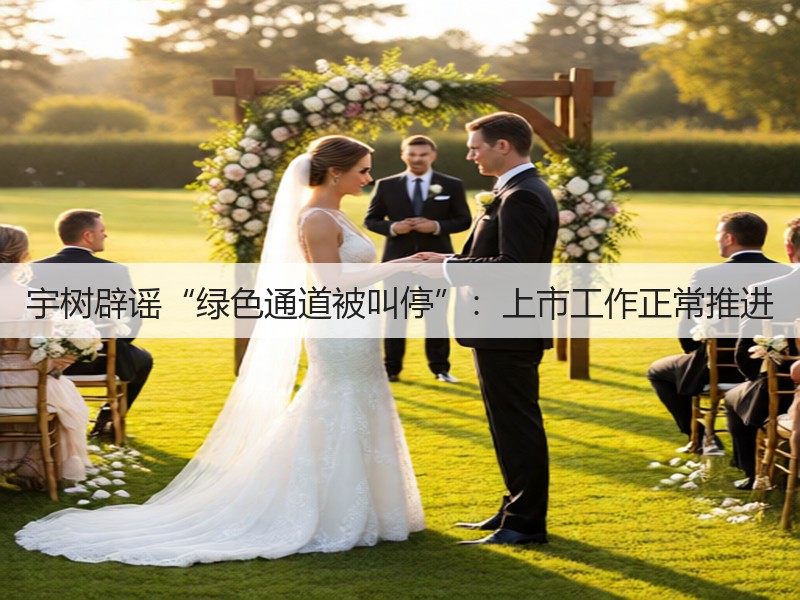 宇树辟谣“绿色通道被叫停”:上市工作正常推进(图3) 宇树辟谣“绿色通道被叫停”:上市工作正常推进(图3)