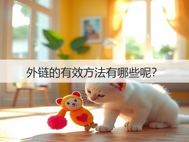 外链的有效方法有哪些呢？