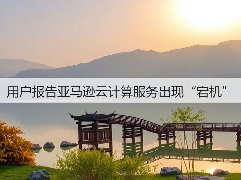 用户报告亚马逊云计算服务出现“宕机”(图3)