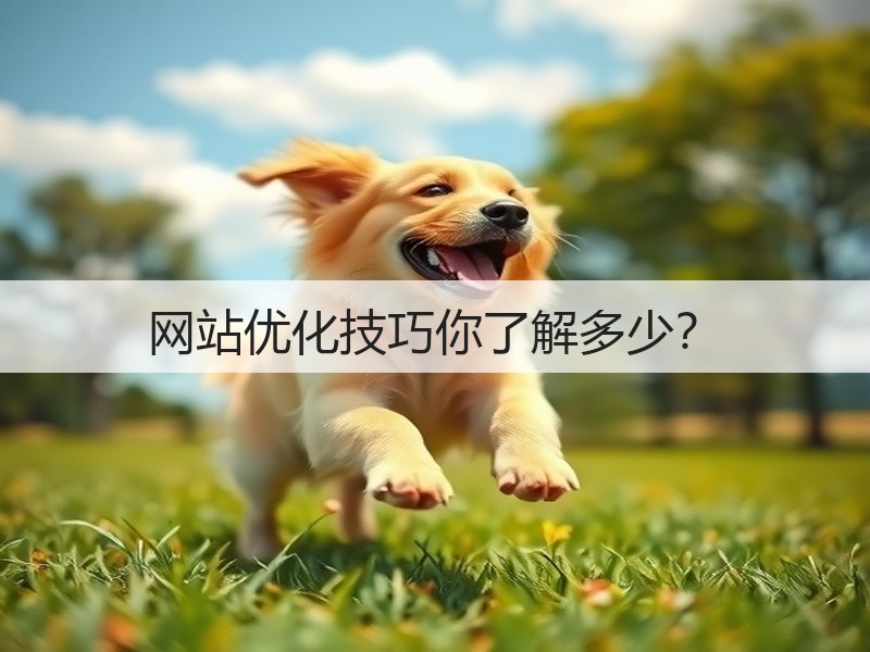网站优化技巧你了解多少?(图3) 网站优化技巧你了解多少?(图3)
