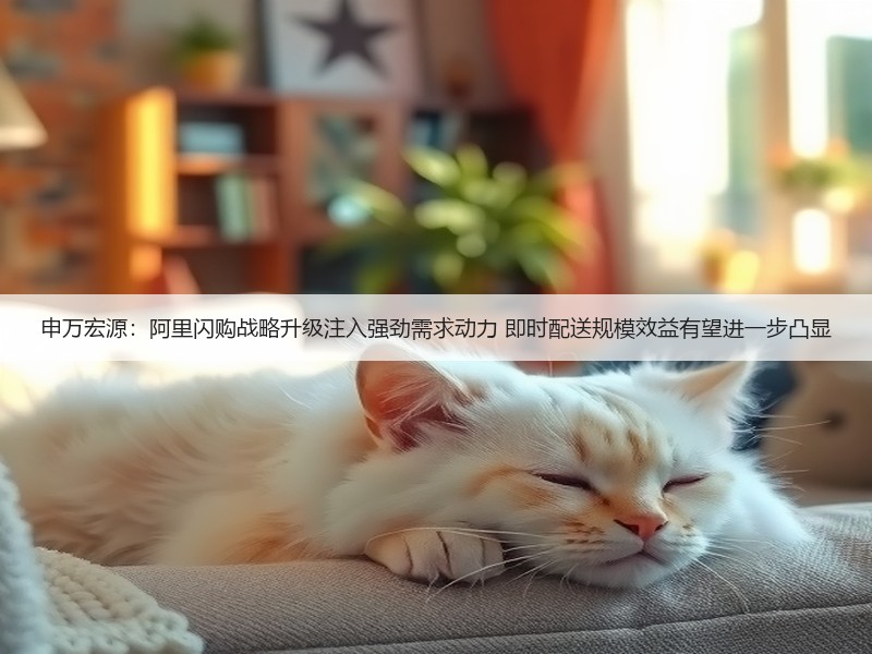 申万宏源:阿里闪购战略升级注入强劲需求动力 即时配送规模效益有望进一步凸显(图2) 申万宏源:阿里闪购战略升级注入强劲需求动力 即时配送规模效益有望进一步凸显(图2)