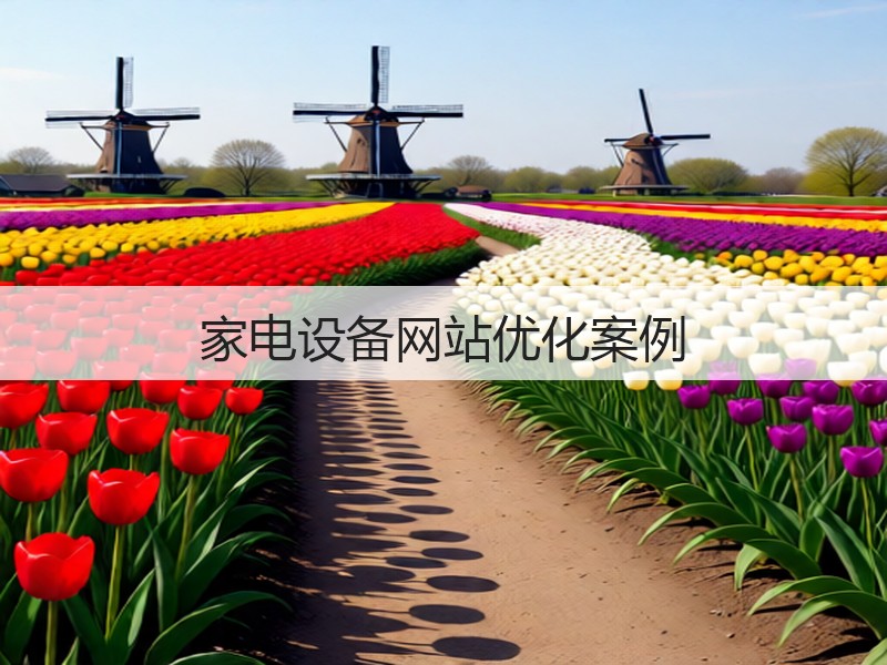 家电设备网站优化案例(图1) 家电设备网站优化案例(图1)