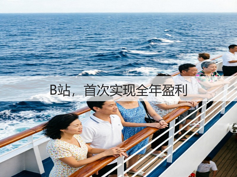 B站，首次实现全年盈利(图3)