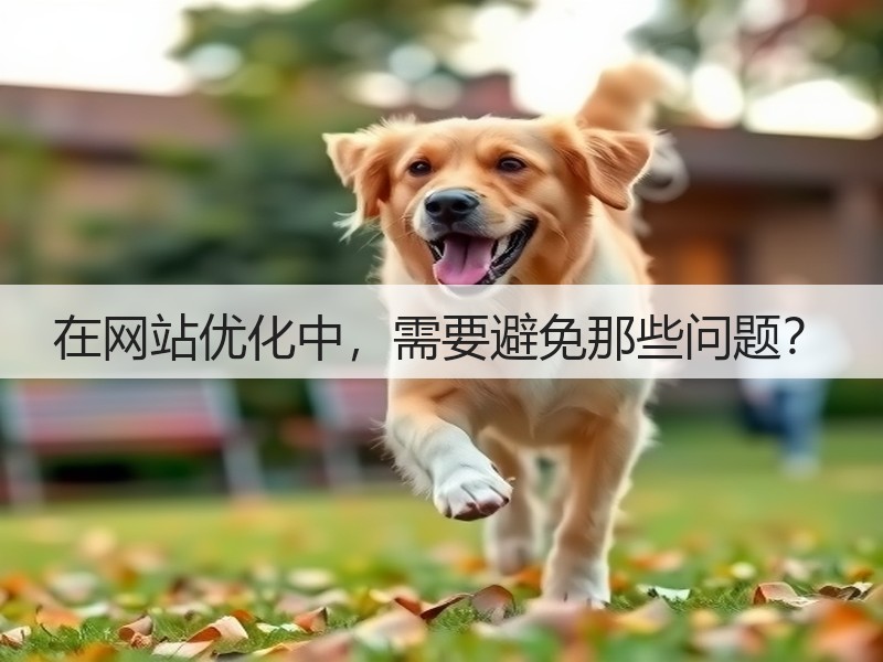 在网站优化中,需要避免那些问题?(图1) 在网站优化中,需要避免那些问题?(图1)
