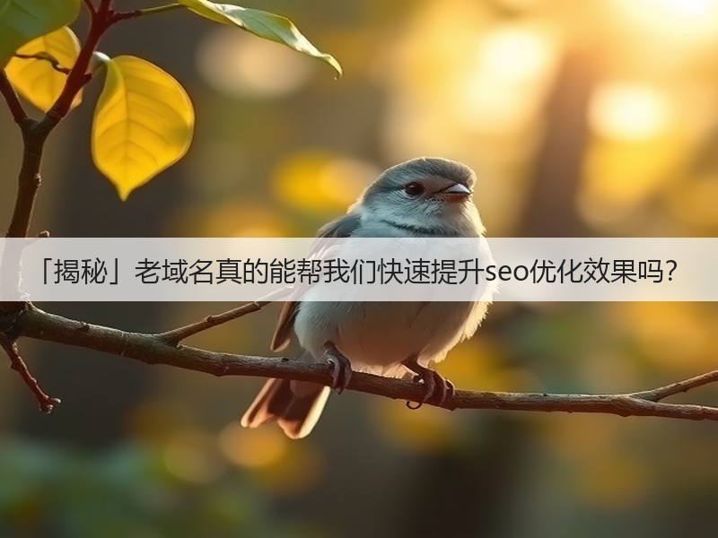 「揭秘」老域名真的能帮我们快速提升seo优化效果吗？(图2)