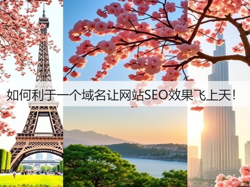 如何利于一个域名让网站SEO效果飞上天！(图2)