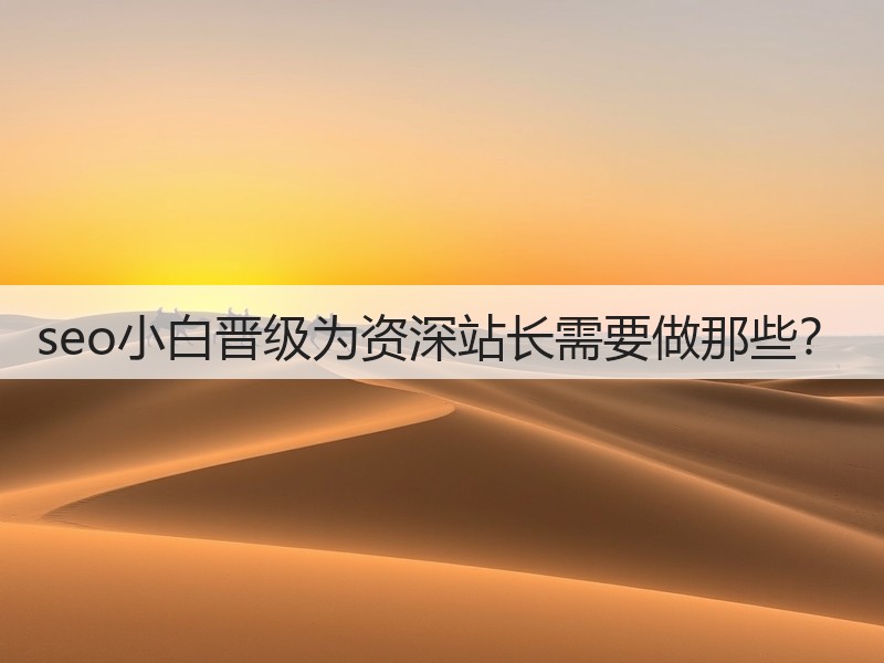 seo小白晋级为资深站长需要做那些?(图2) seo小白晋级为资深站长需要做那些?(图2)