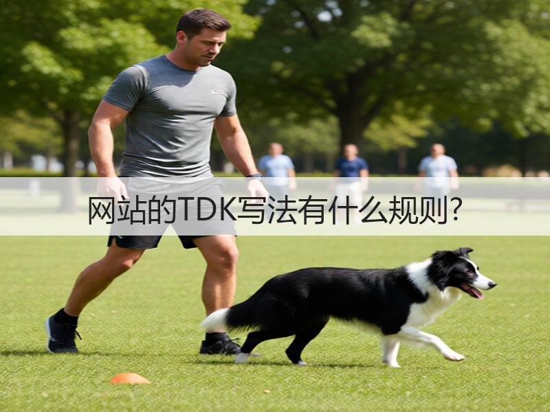 网站的TDK写法有什么规则?(图3) 网站的TDK写法有什么规则?(图3)