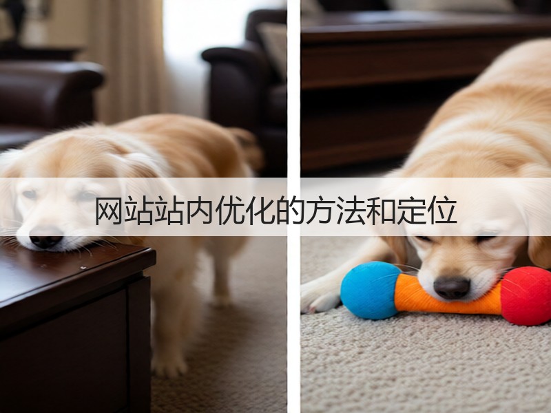 网站站内优化的方法和定位(图3) 网站站内优化的方法和定位(图3)