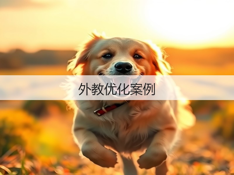 外教优化案例(图1) 外教优化案例(图1)