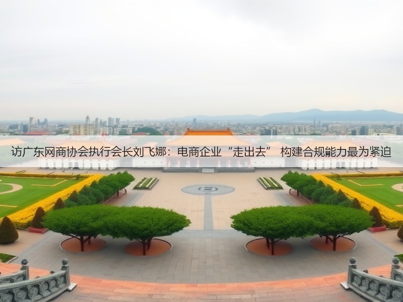 访广东网商协会执行会长刘飞娜：电商企业“走出去” 构建合规能力最为紧迫(图2)