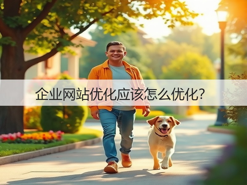企业网站优化应该怎么优化？(图2)
