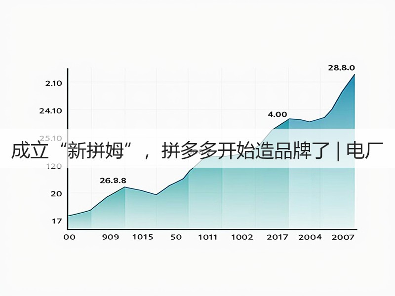 成立“新拼姆”，拼多多开始造品牌了 | 电厂(图2)