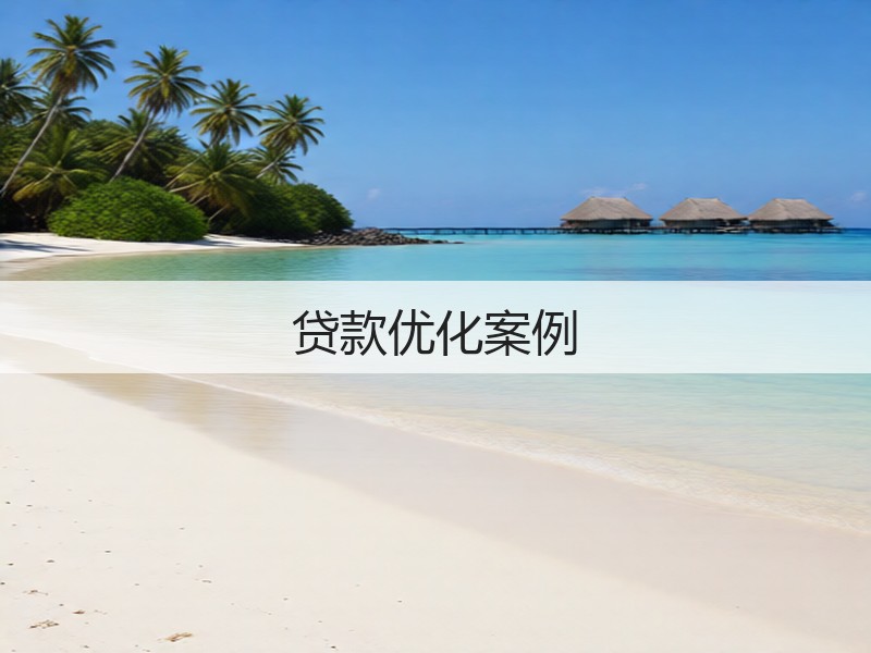 贷款优化案例(图2)