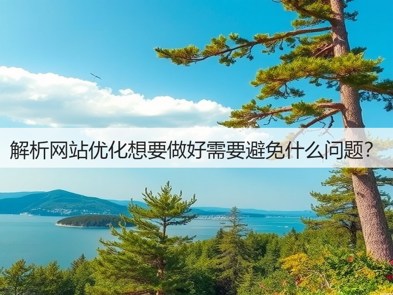 解析网站优化想要做好需要避免什么问题?(图2) 解析网站优化想要做好需要避免什么问题?(图2)