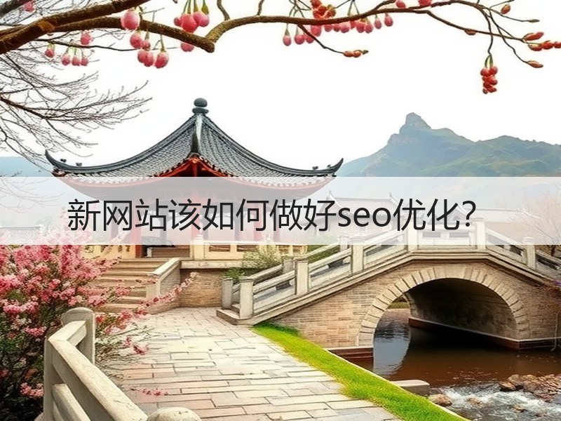 新网站该如何做好seo优化？