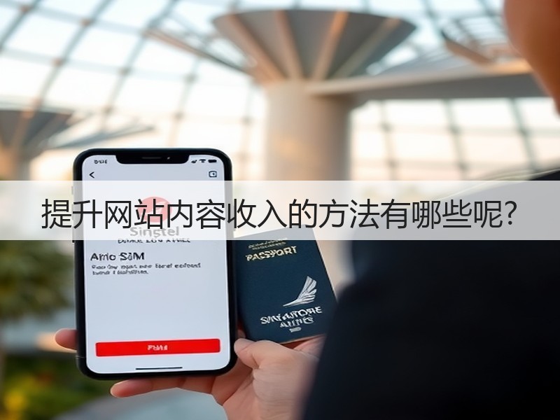 提升网站内容收入的方法有哪些呢?(图1) 提升网站内容收入的方法有哪些呢?(图1)