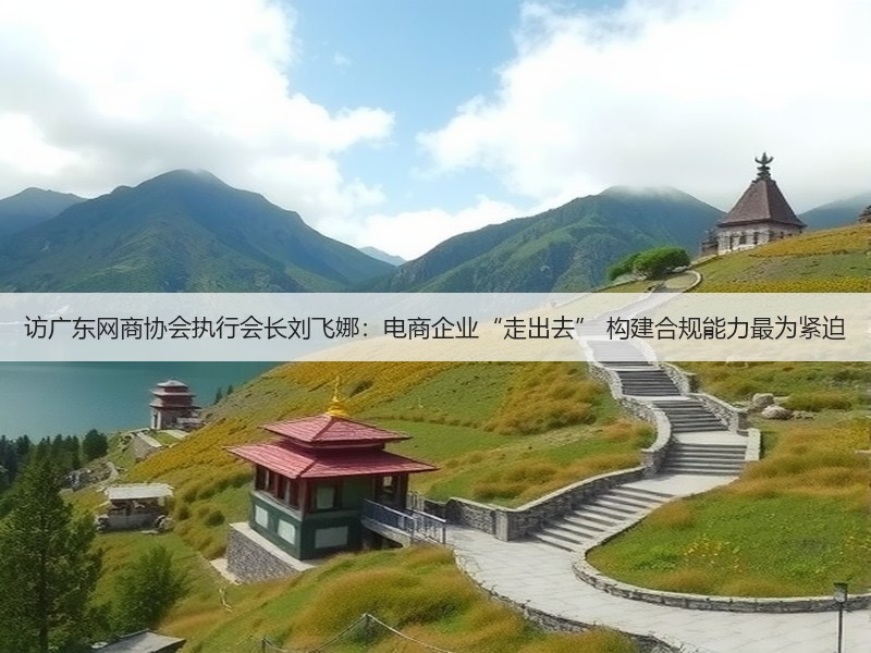 访广东网商协会执行会长刘飞娜：电商企业“走出去” 构建合规能力最为紧迫(图2)