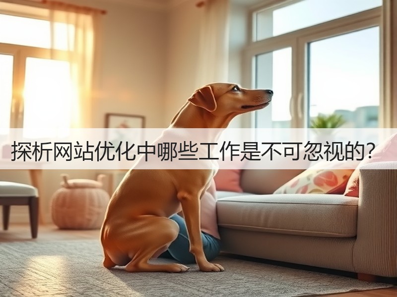 探析网站优化中哪些工作是不可忽视的？(图1)