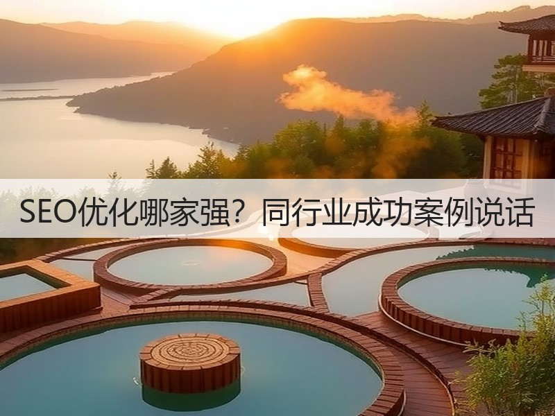 SEO优化哪家强?同行业成功案例说话(图2) SEO优化哪家强?同行业成功案例说话(图2)