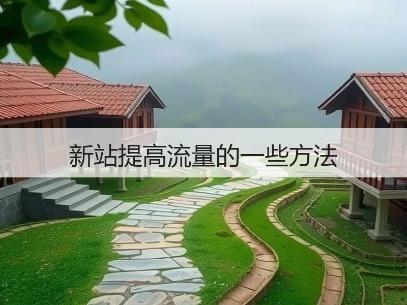 新站提高流量的一些方法
