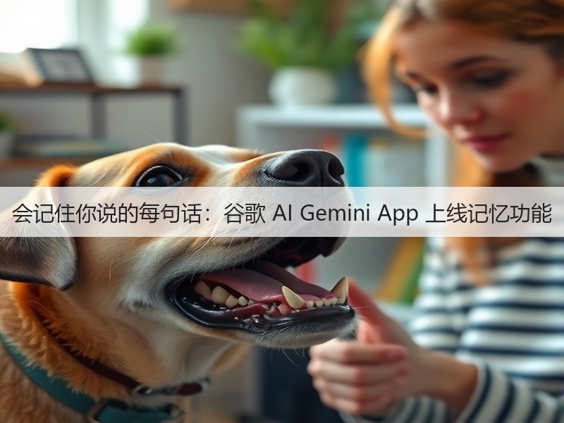 会记住你说的每句话：谷歌 AI Gemini App 上线记忆功能(图3)