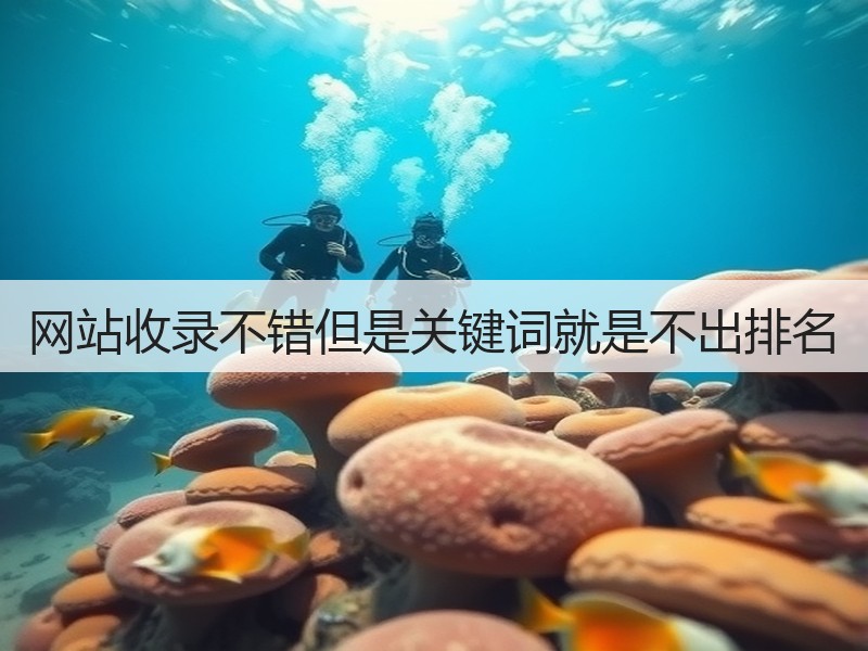 网站收录不错但是关键词就是不出排名(图1) 网站收录不错但是关键词就是不出排名(图1)