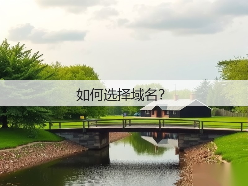 如何选择域名?(图1) 如何选择域名?(图1)
