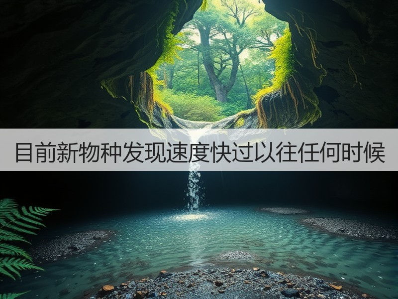 目前新物种发现速度快过以往任何时候(图2) 目前新物种发现速度快过以往任何时候(图2)