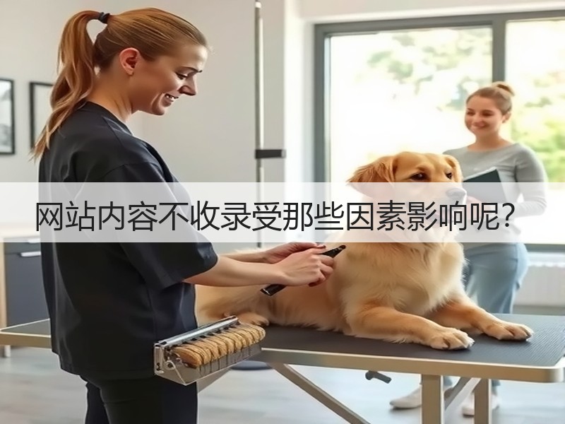 网站内容不收录受那些因素影响呢?(图3) 网站内容不收录受那些因素影响呢?(图3)
