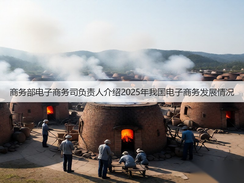商务部电子商务司负责人介绍2025年我国电子商务发展情况(图3) 商务部电子商务司负责人介绍2025年我国电子商务发展情况(图3)