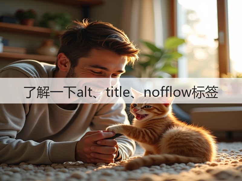了解一下alt、title、nofflow标签(图2) 了解一下alt、title、nofflow标签(图2)