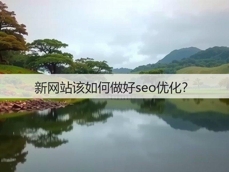 新网站该如何做好seo优化？(图3)
