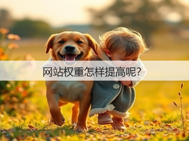 网站权重怎样提高呢？(图1)