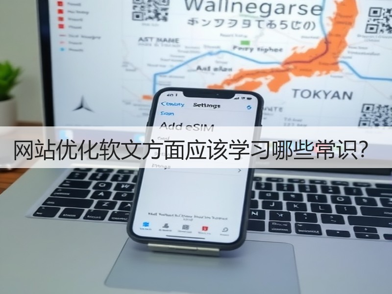 网站优化软文方面应该学习哪些常识？(图1)