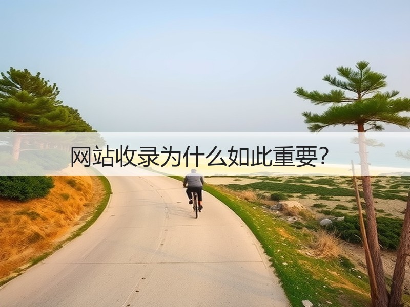 网站收录为什么如此重要?(图3) 网站收录为什么如此重要?(图3)