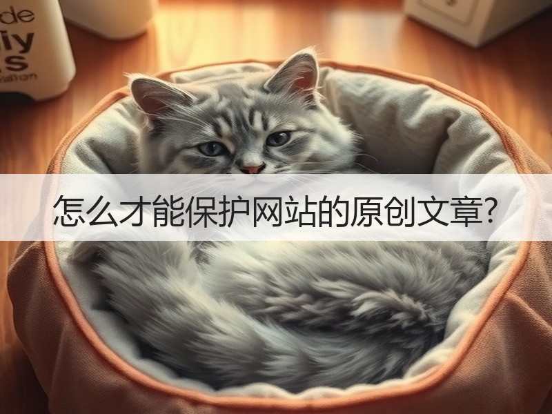 怎么才能保护网站的原创文章?