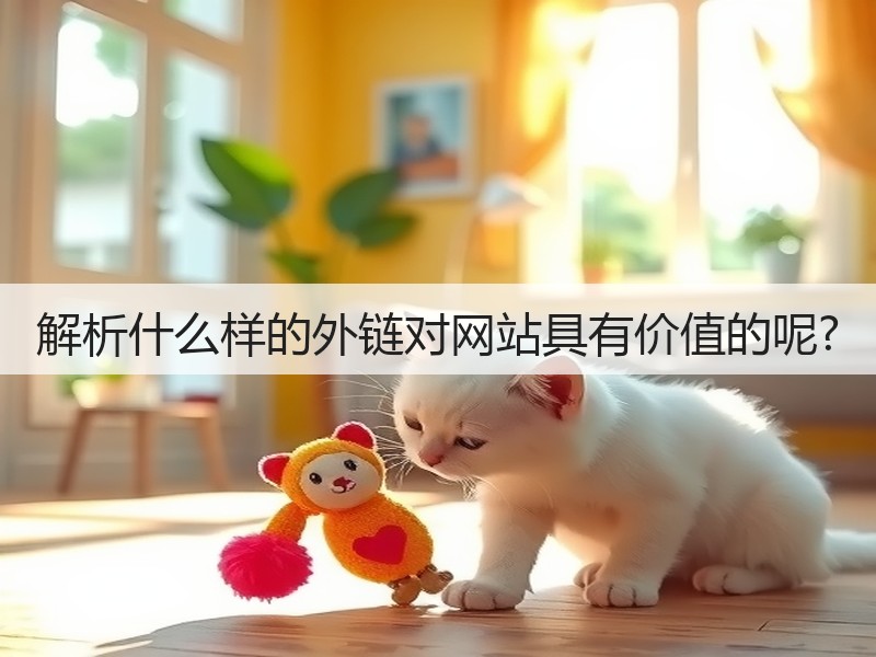 解析什么样的外链对网站具有价值的呢?(图1)