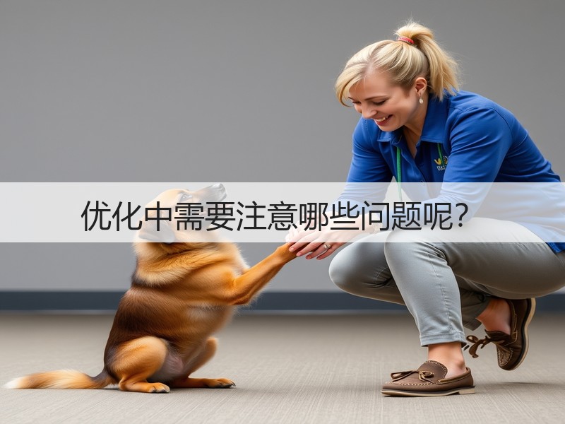 优化中需要注意哪些问题呢？(图2)