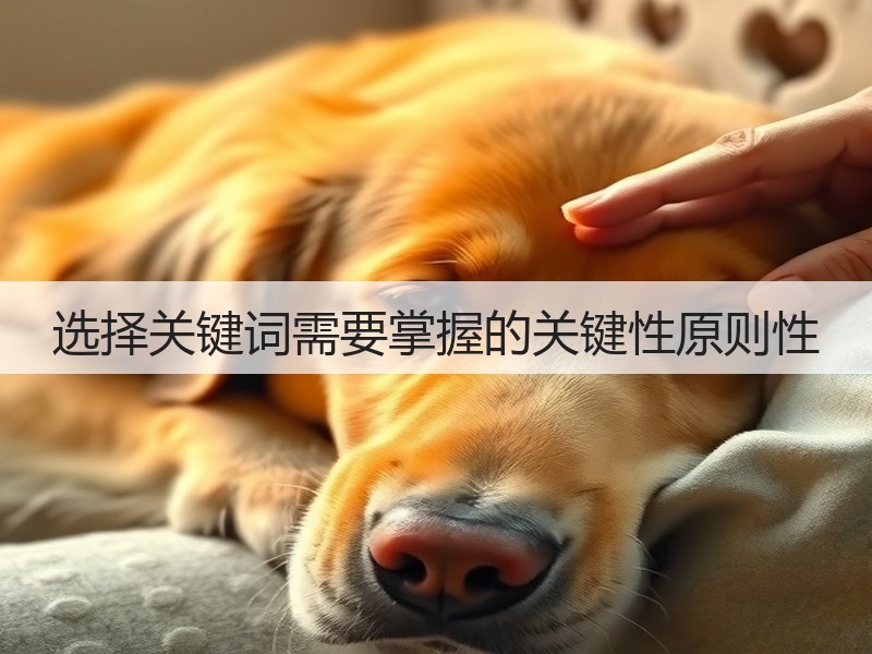 选择关键词需要掌握的关键性原则性(图1) 选择关键词需要掌握的关键性原则性(图1)