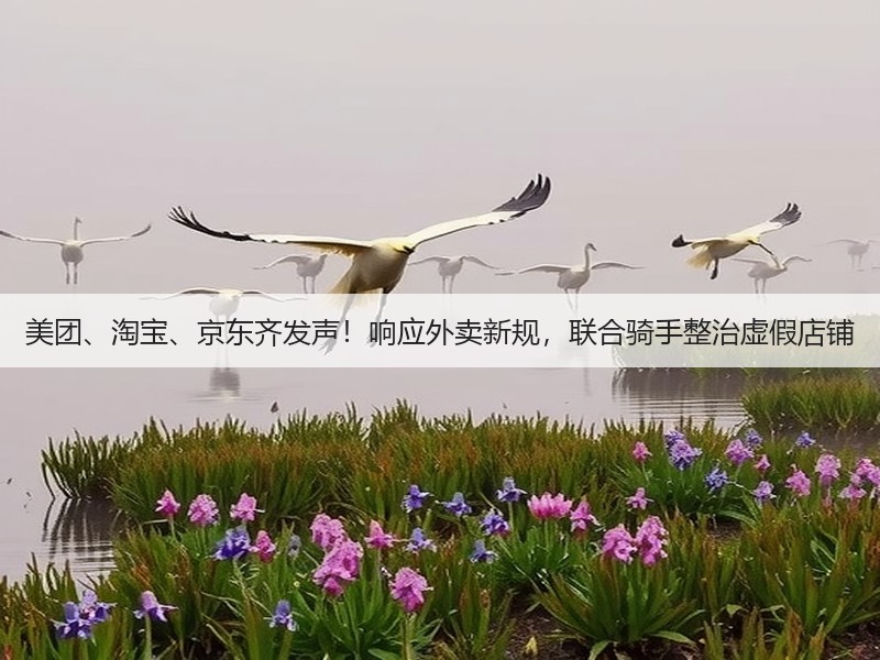 美团、淘宝、京东齐发声！响应外卖新规，联合骑手整治虚假店铺(图3)